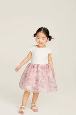 Baker By Ted Baker Pink Organza Dress