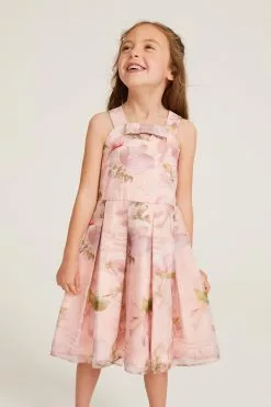 Baker By Ted Baker Pink Floral Organza Dress